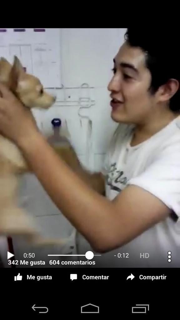 alex_barbanegra's tweet photo. @MaskotaMexico a este pequeño lo colgó del pene y después de los testículos, no conforme lo abofeteó!!!! http://t.co/qmfiiq1XgR