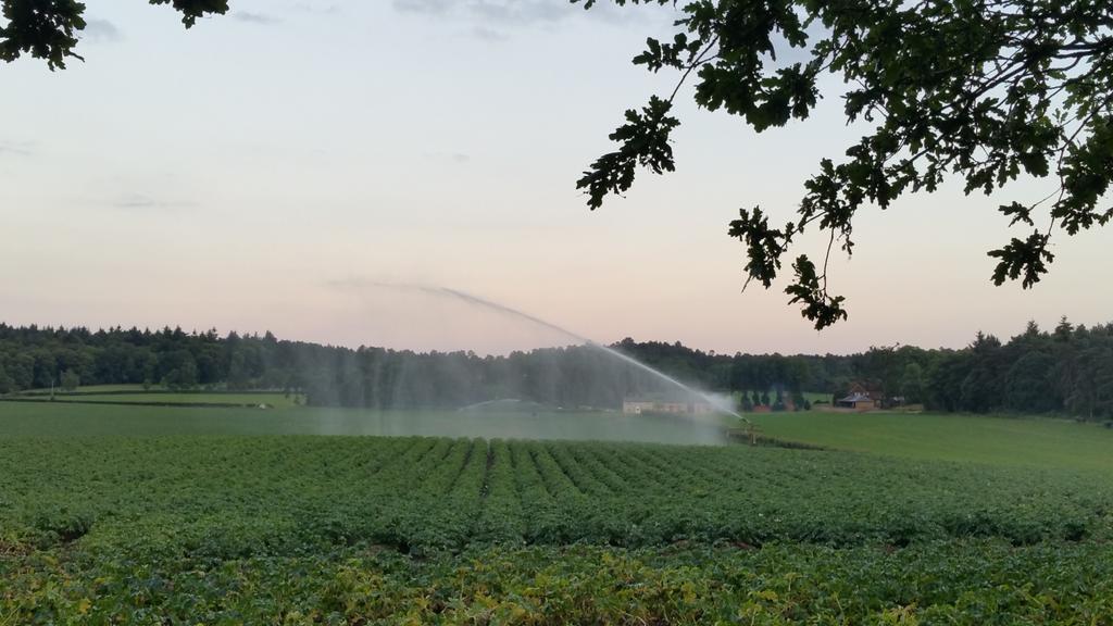 allspecialneeds's tweet image. Did first training walk tonight since fracturing my back. Only 4 weeks till next leg of #SouthWest630. Lovely evening