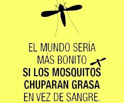 EsperanzagilEsp's tweet photo. hijos de pi.... #Bn http://t.co/Q7HZRy8dFN