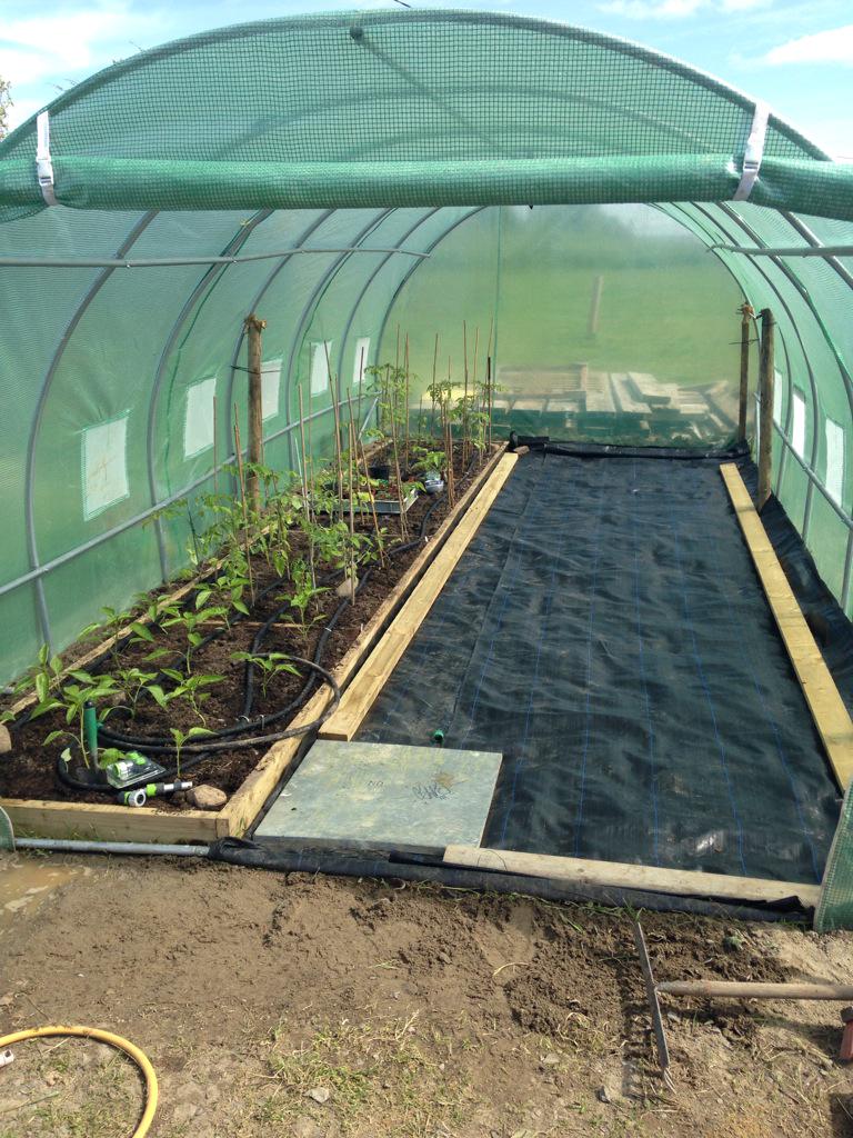 Jason O Brien, tweet media