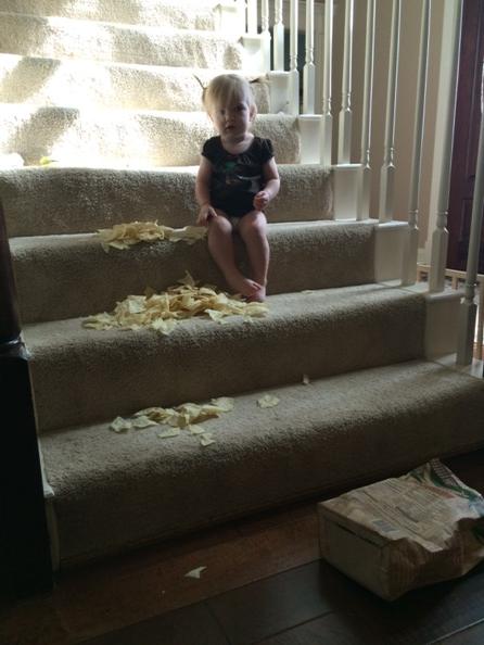 knipscf's tweet photo. It got really quiet while I was cooking dinner. Surprise! What a mess! Housekeeper had just left a few hrs before. http://t.co/G34y3NQxjv