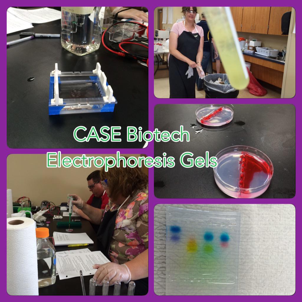 DJR_131's tweet photo. Day 2 of #caseapb2015 at @TSU_AgEd: Extracting DNA, creating agarose gels, and running electrophoresis! #biotech http://t.co/4aOBsFgIuW