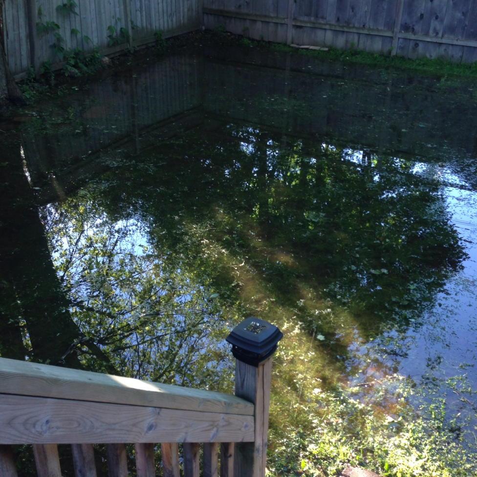 ccc_lll_'s tweet photo. #OnStorm @weathernetwork ๐ Last night's storm left my backyard completed flooded #lakesideproperty ๐ http://t.co/X0tg1yOuFq