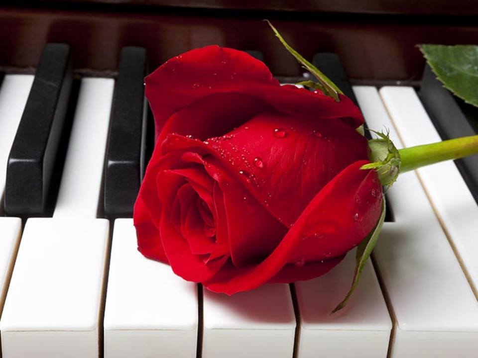  Happy 22nd Bday! What a year it has been, and promises to only getting better!  via Drc_19