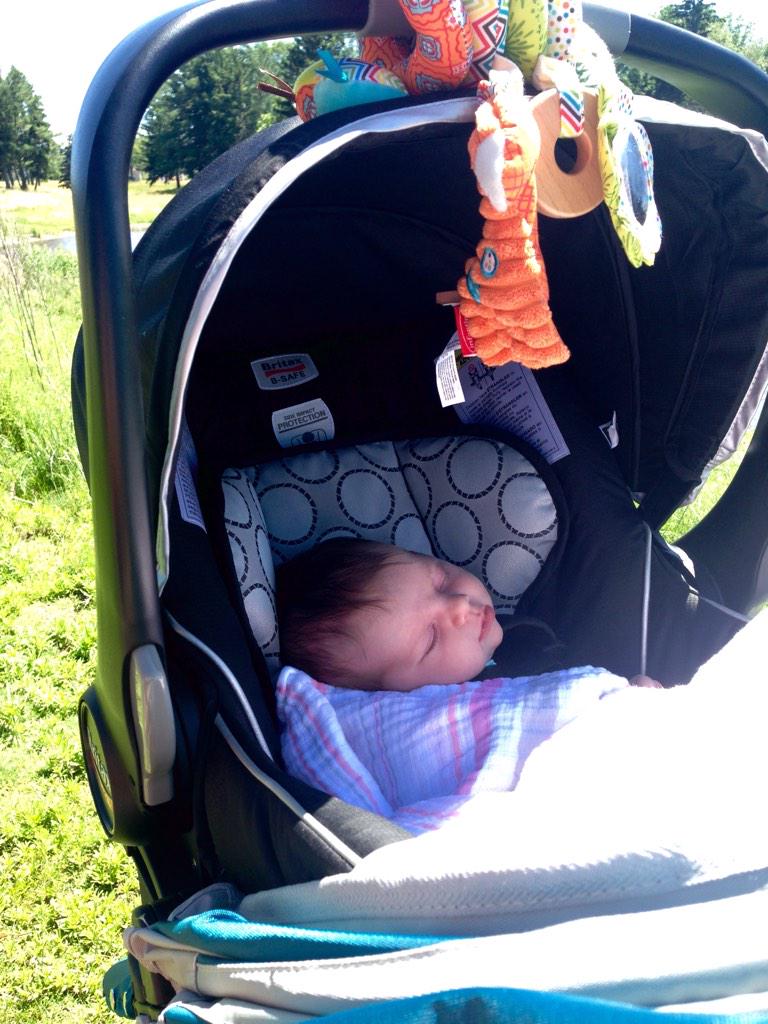ca_rado's tweet photo. Enjoying #acacia on this gorgeous day @clevemetroparks http://t.co/QrSgxFXwHY