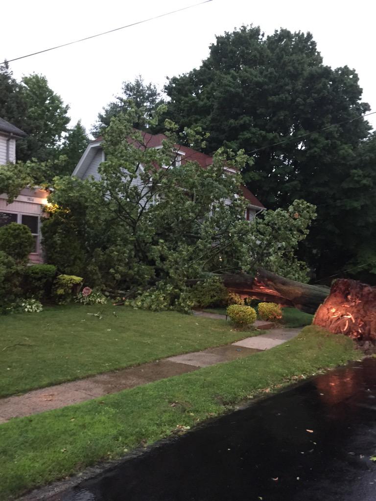 View image on Twitter View image on Twitter