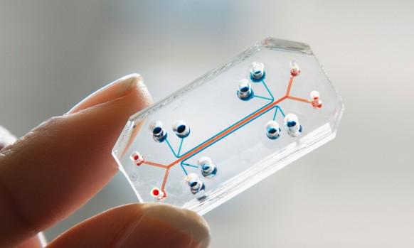 A chip that mimics human organs is the design of the year wrd.cm/1SI7GBp