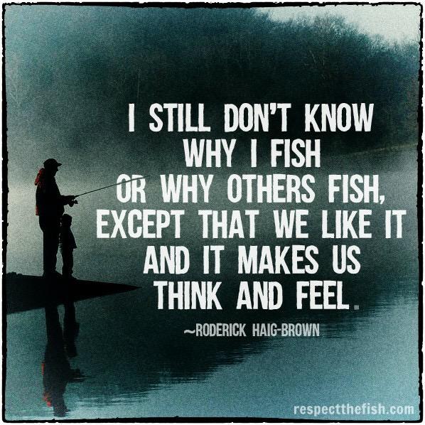 RespectFish's tweet image. Why do I #fish? #fishing #fishinglife #respectthefish #flyfishing