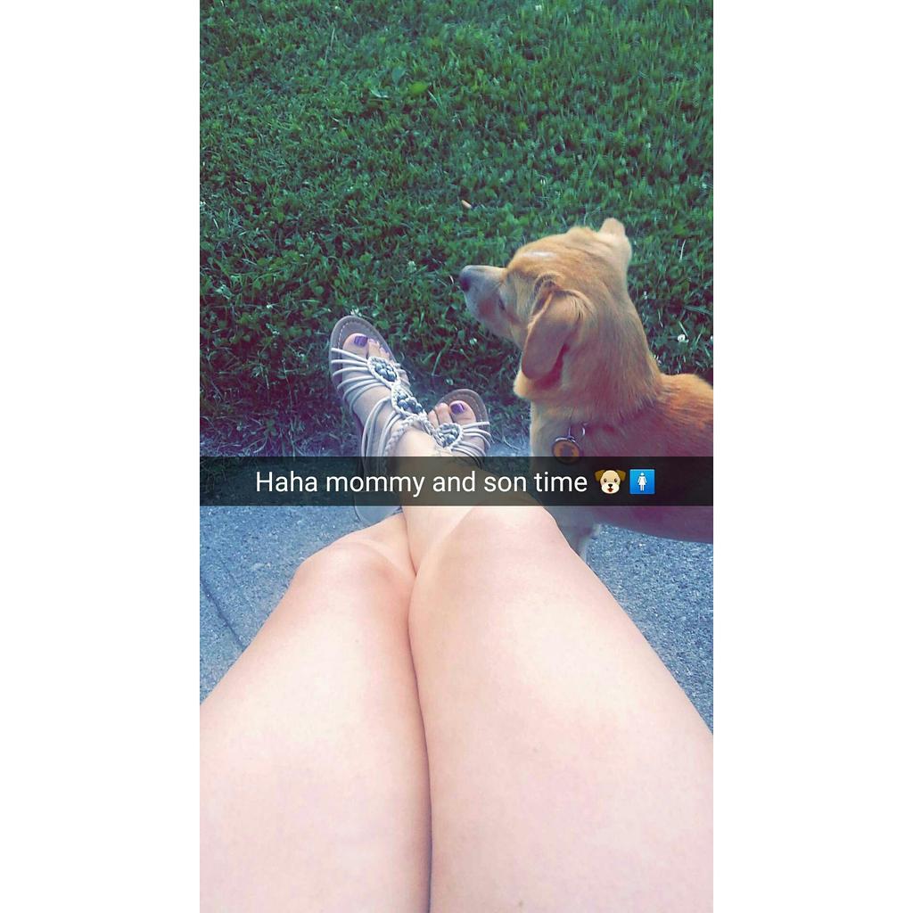 Sthefa27's tweet photo. My love one #Merley #parkTime #mommyandson 🐶😍❤
SnapChat: Sthefa93 http://t.co/fJk7ATofqo