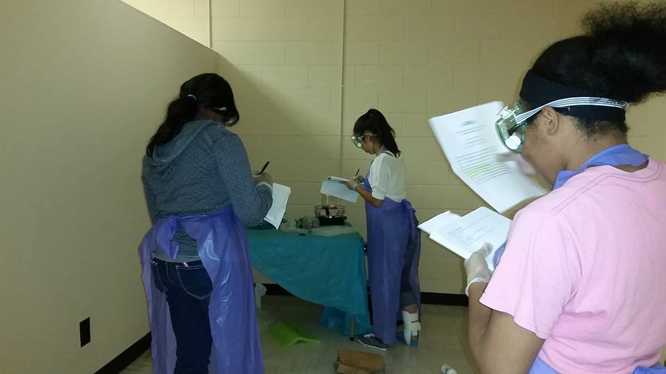 STEMversity's tweet photo. The students are busy with their crime scenes! http://t.co/LG5z9FLZRY