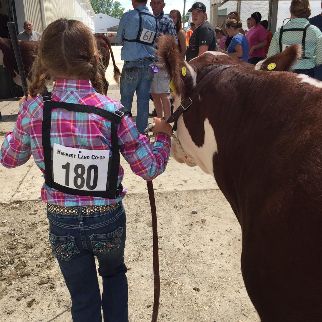 Kaykelly41's tweet photo. Great day at the fair! Way to kick off another 10 years of 4-h with the next generation #kellyfarms #kickassrepeat http://t.co/wlcdBLWwLT