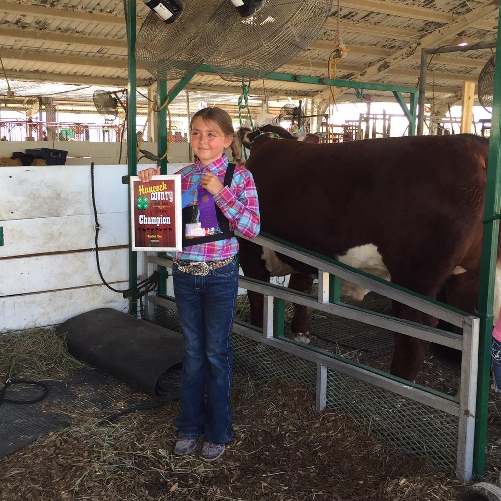 Kaykelly41's tweet photo. Great day at the fair! Way to kick off another 10 years of 4-h with the next generation #kellyfarms #kickassrepeat http://t.co/wlcdBLWwLT