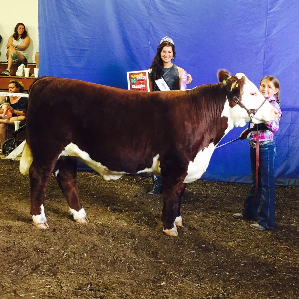 Kaykelly41's tweet photo. Great day at the fair! Way to kick off another 10 years of 4-h with the next generation #kellyfarms #kickassrepeat http://t.co/wlcdBLWwLT