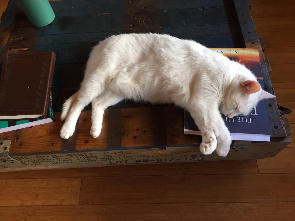 Ultimate_Exodus's tweet photo. Even their pets read it in bed! http://t.co/Osx9t5oJvD