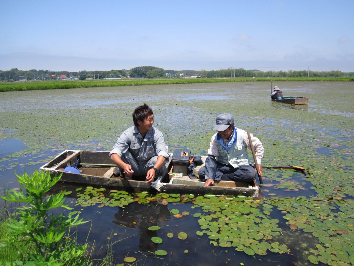Atv青森テレビ 今日のわっち 農ミュージック農ライフ は初夏の味覚 ジュンサイデス 農音楽家タクロンが訪れたのはつがる市 きれいな水で 無農薬でなければ育たないというジュンサイ 料理も紹介 そして 今日はタクロンさん スタジオ生出演 Atv青森テレビ 今日のわっち 農ミュージック農ライフ は初夏の味覚 ジュンサイデス 農音楽家タクロンが訪れたのはつがる市 きれいな水で 無農薬でなければ育たないというジュンサイ 料理も紹介 そして 今日はタクロンさん スタジオ生出演
