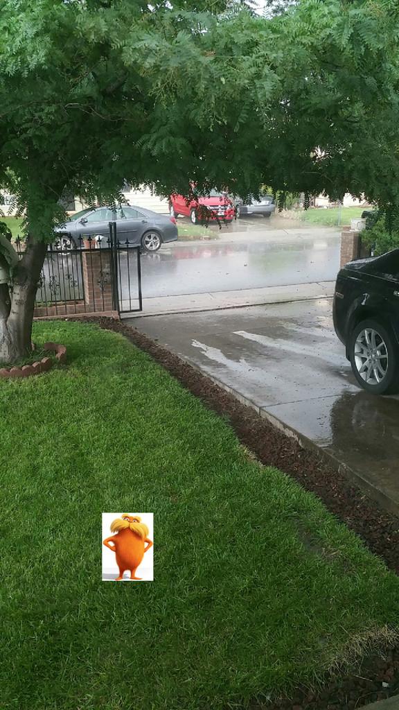 Batnica15's tweet photo. Avoid watering your lawn when the forecast asks for rain.This allows you to save money & time. #LORAX #LHSAPES http://t.co/XgnrwRy5LP