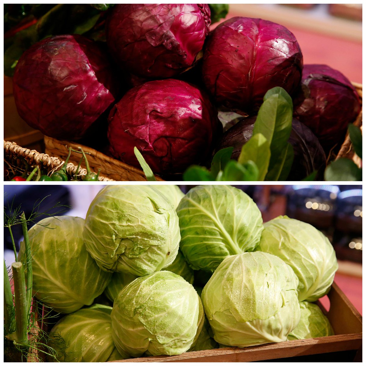 MASTERCHEFonFOX's tweet image. Are you more of a red cabbage or green cabbage person? #MasterChef