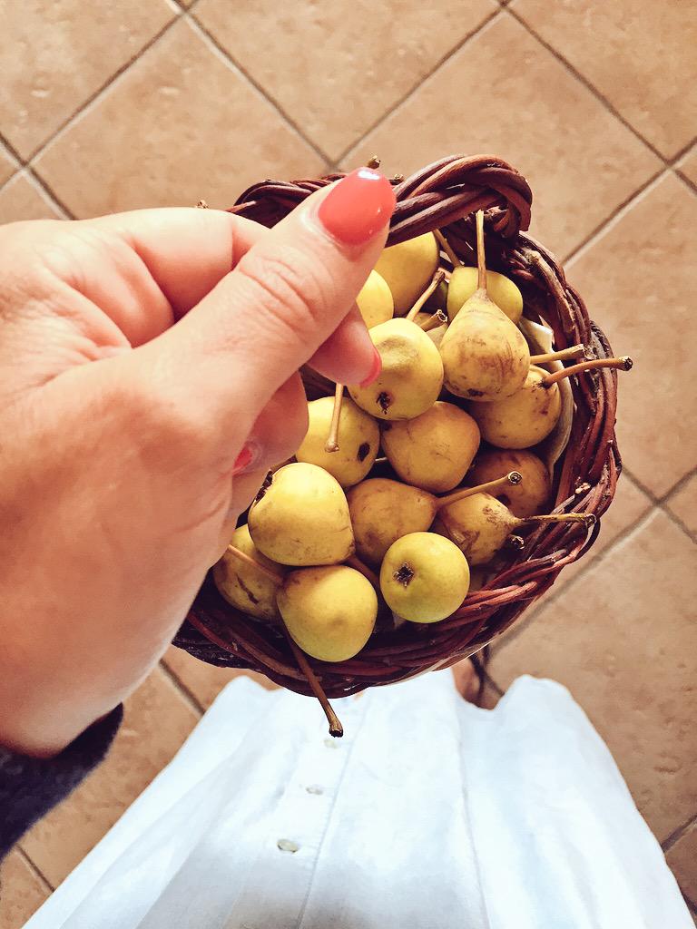 fattoincasapibu's tweet photo. #buongiorno #blogtourcilento #dietadelcilento #aifb http://t.co/bTlJenuJwP