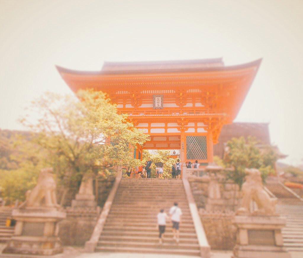 all_for_a_smile's tweet photo. 言葉がなくても伝わる関係

ずっとそばにいられる関係

幸せを感じあえる関係

信頼しあえる関係

そんな関係になりたい

#ファインダー越しの私の世界
#写真好きな人と繋がりたい
#1mmでもいいなって思ったらRT http://t.co/cvWjGgYLTB
