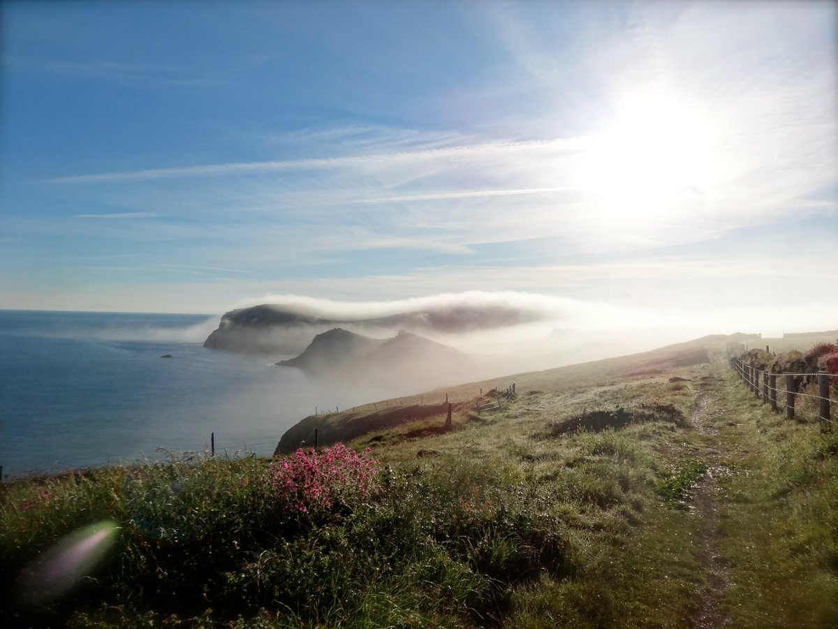 CliffsideKatie's tweet photo. first thing...sun coming up and low mist hanging over the hood. #PortQuin #Cornwall #Doyden http://t.co/M0oz7Jfs1T