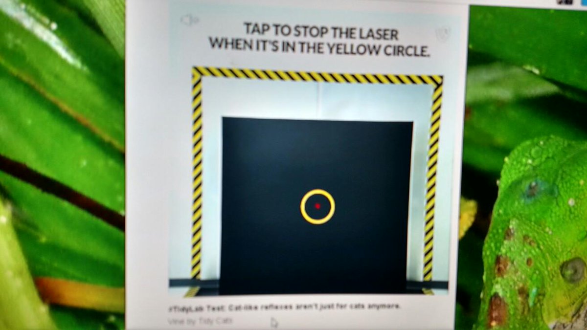 PeteHSL's tweet image. #TidyLab that was easy