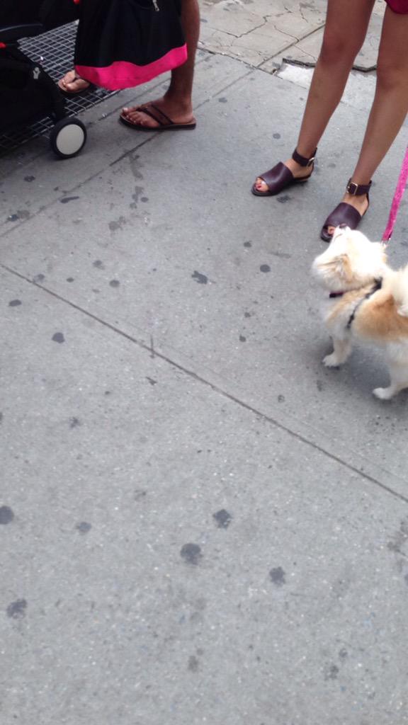 paulie11ryan's tweet photo. lil Jeff in NYC!! http://t.co/A3Z12MlIeE
