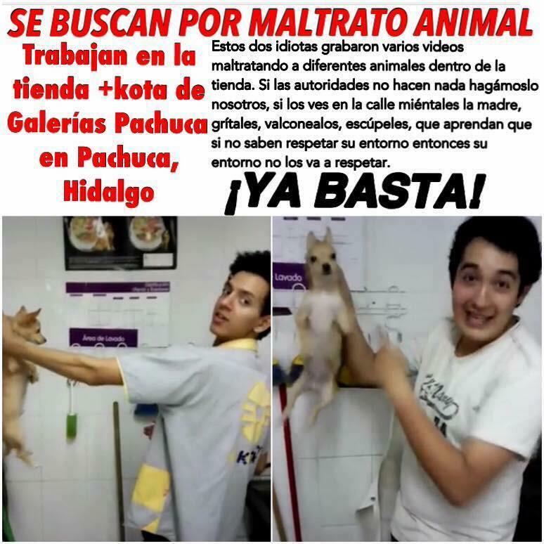 ItsLaloPrince's tweet photo. Den RT  ayuda a difundir  #MaskotaMaltrataAnimales http://t.co/bRRXTWX2D6