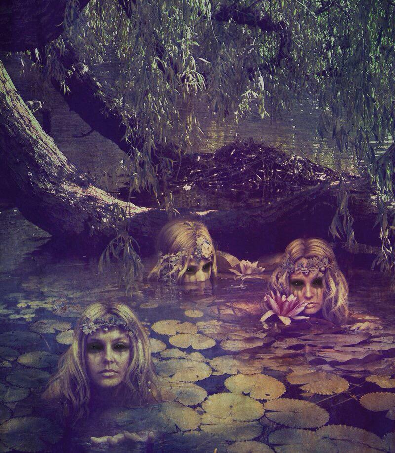 Vortex_OTO's tweet image. Please join us on July 12th!    facebook.com/events/6914749…