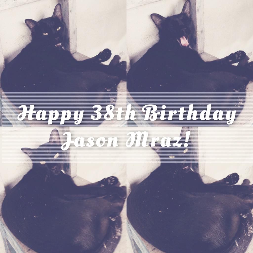  My cat wants to say happy birthday to you :) 