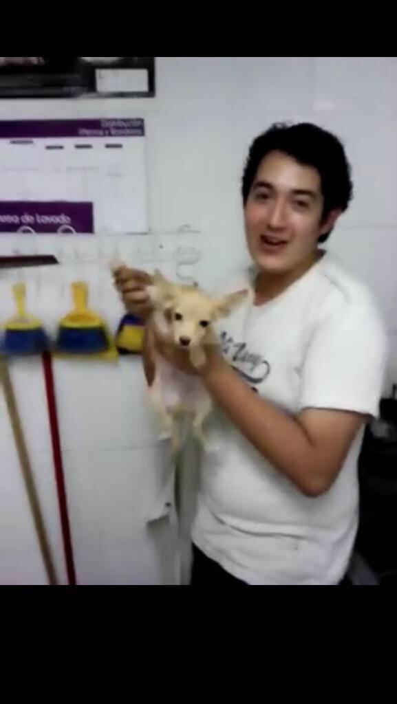 sopitas's tweet photo. #MaskotaMaltrataAnimales Difunden video de empleados golpeando animales http://t.co/wQWVqVssFP http://t.co/m3tRmzZqXv