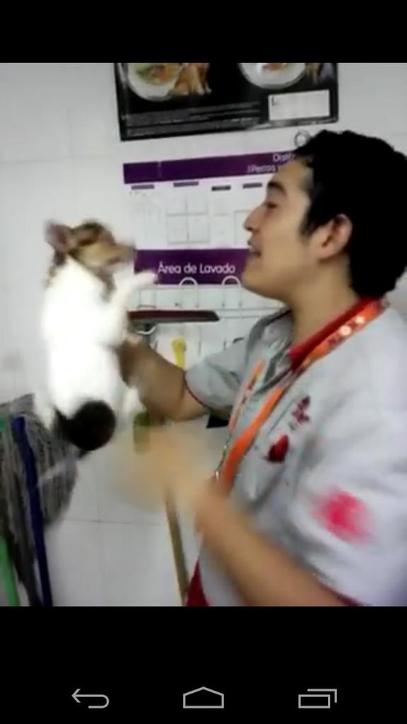 alex_barbanegra's tweet photo. @MaskotaMexico #MaskotaMaltrataAnimales exigimos justicia!!!! Y que los responsables sean castigados!!!!😤😤😤😤😤😤 http://t.co/AP7EtFkSza