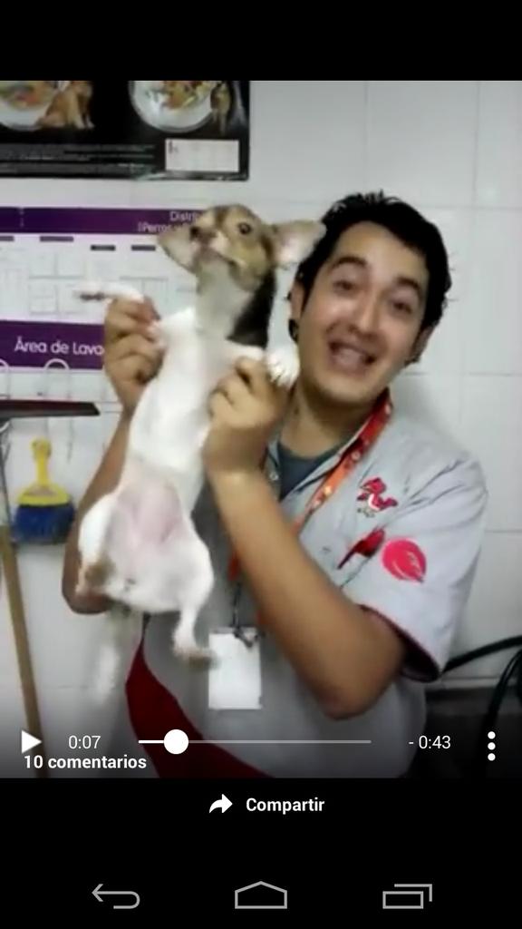 alex_barbanegra's tweet photo. @MaskotaMexico #MaskotaMaltrataAnimales exigimos justicia!!!! Y que los responsables sean castigados!!!!😤😤😤😤😤😤 http://t.co/AP7EtFkSza