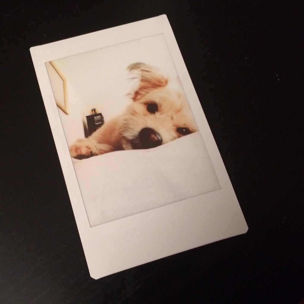 JustDotIt's tweet photo. He shared his grad gift 😁 
#Avery #InstaxSharePrinter #CongratulationsLucky http://t.co/skzYrV05CX