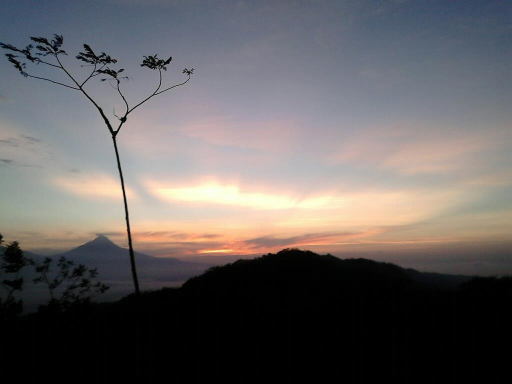 #jogjapict <a href="/InfoPagerharjo/">InfoPagerharjo</a>: surisee kukusan