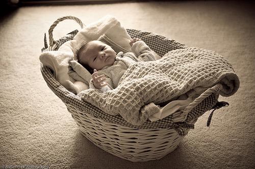 (Stretches out in his basket chewing on his tiny fist cooing watching people pass)