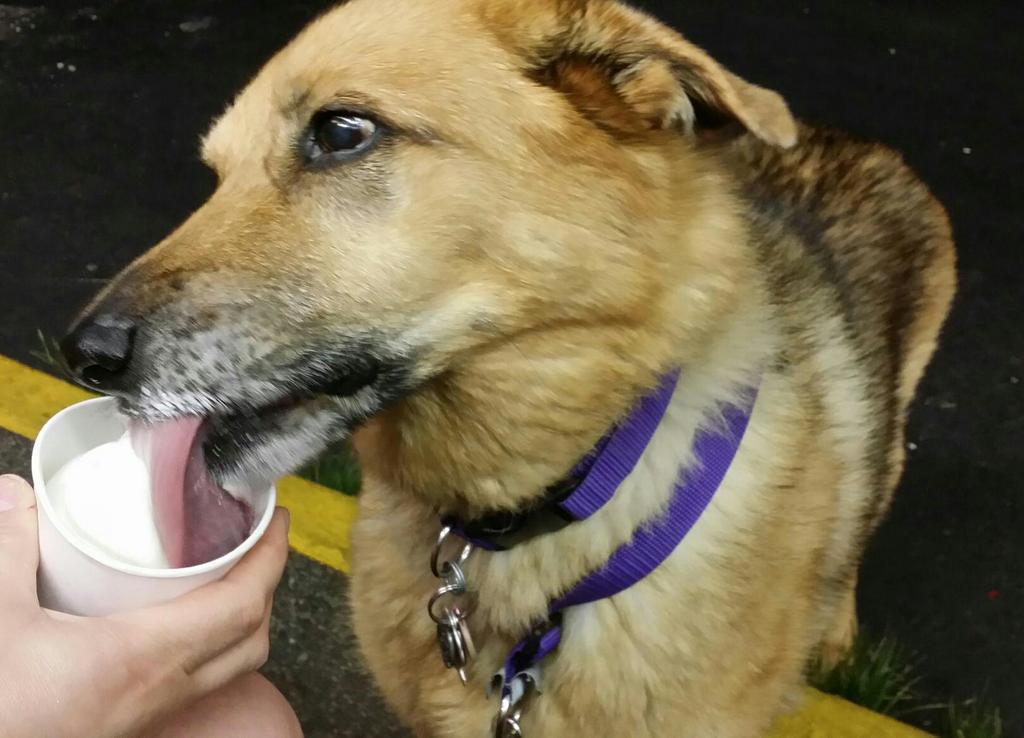 Randolph Dairy Barn (RandolphDairyB) Twitter