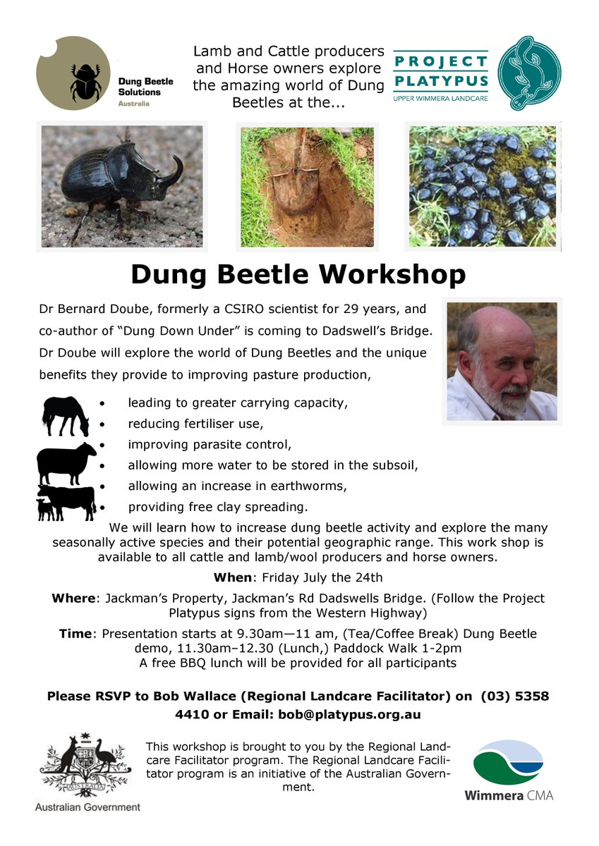 Explore the world of Dung Beetles &amp; the unique benefits they provide to improving pasture production Friday 24th July