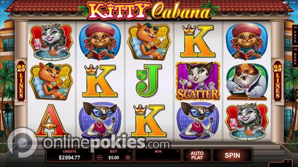 New Review - Kitty Cabana (Microgaming) - onlinepokies.com/kitty-cabana.h… #OnlinePokies