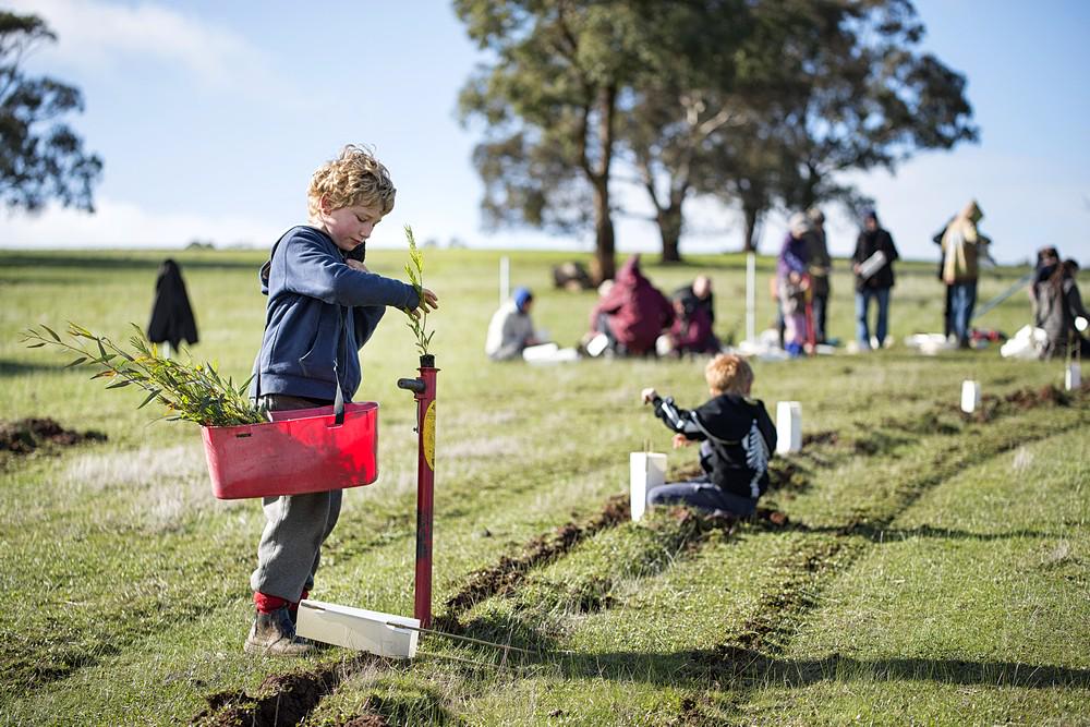 Project Platypus July Plantout registrations are now open visit platypus.org.au for details.