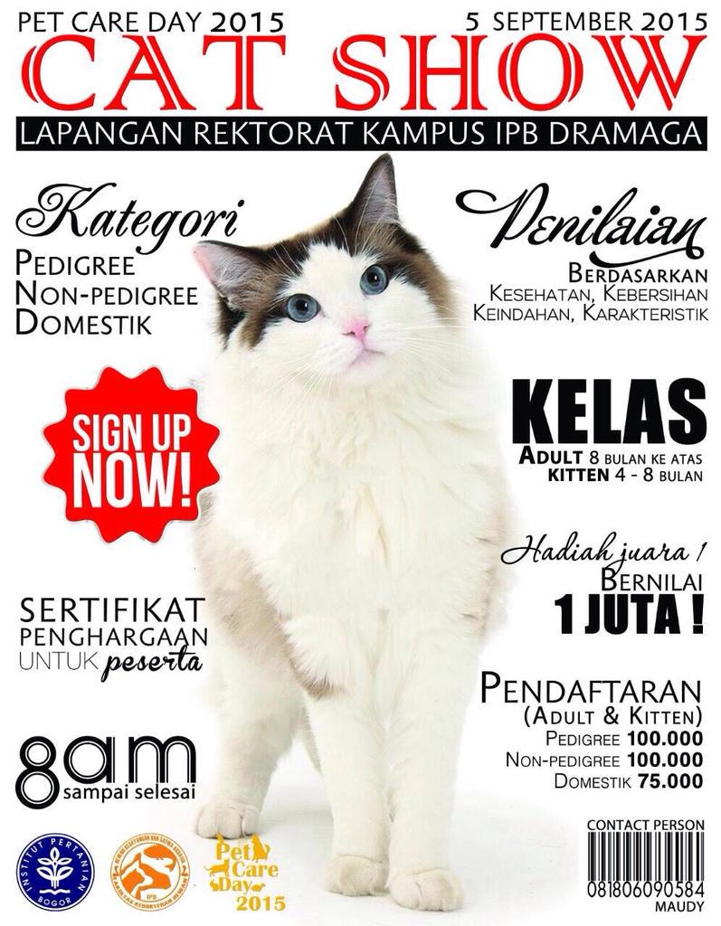 petcareday's tweet photo. Jangan lupa daftarkan kucing kesayangan kamu dlm Catshow PCD2015 @mpus_bogor @infokucing @kskbo @SahabatMeong http://t.co/LSymCidsO2