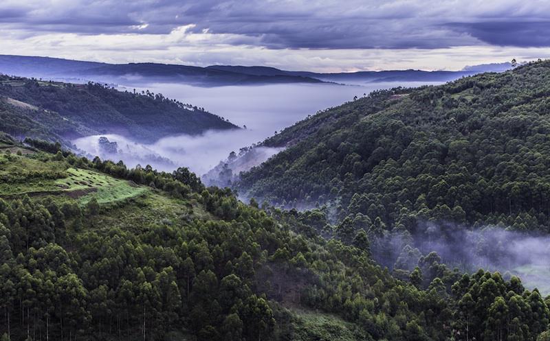 Thisisuganda_'s tweet photo. The Pearl Of Africa, UGANDA. #TheAfricaTheMediaNeverShowsYou http://t.co/zp9UBGm1Wf