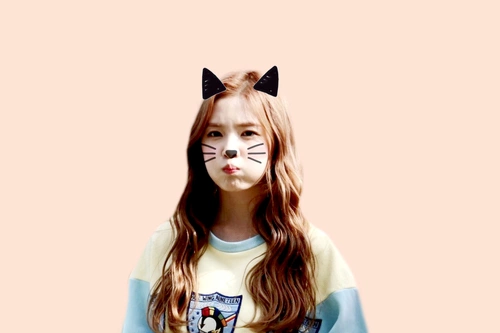 Irene. (@frolicirene) on Twitter photo 