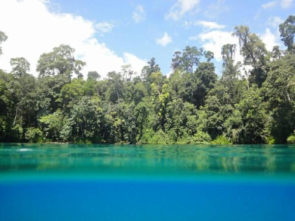 GNFI's tweet photo. Air tawar dan air laut di Danau Labuan Cermin tdk tercampur, dpt dilihat ada lapisan serupa awan yg memisahkan. http://t.co/KPWl50PNAI
