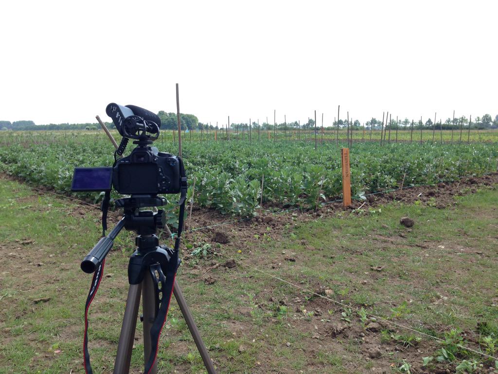 RoderickKersten's tweet image. Mooie video opnemen bij de #dezelfoogsttuin Leuk en inspirerend interview met Inge de Zwart! @SmartForwardNL