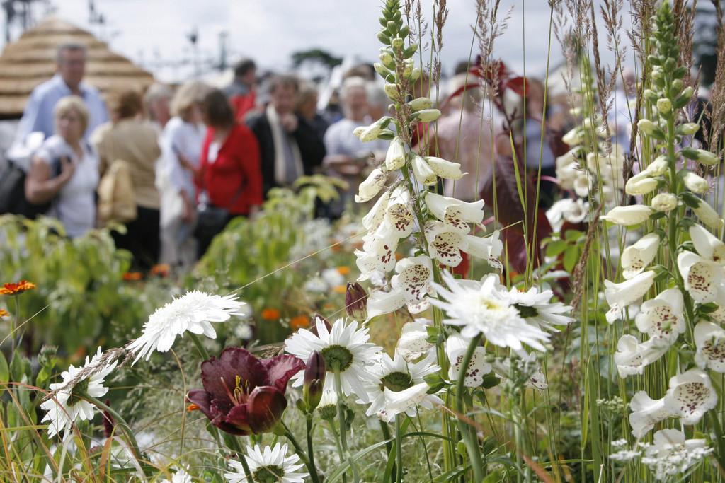 The best festival in the world starts very soon... #RHSHampton, the Great Garden Festival! rhs.org.uk/hamptoncourt