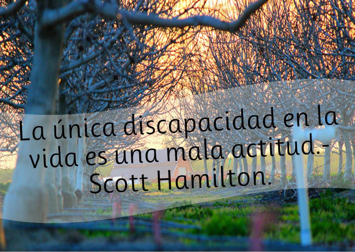 GrupoAMAS's tweet photo. #FelizMiercoles #FraseDelDia  ¡Un día más promoviendo la #inclusion! http://t.co/msCKIo5btI