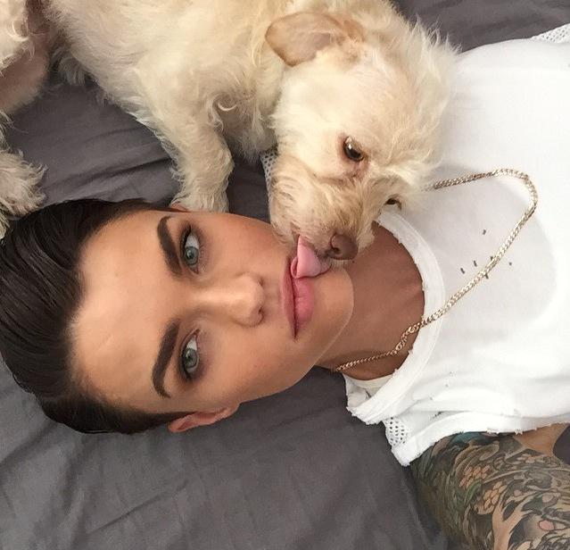 When your dog has zerø chill.