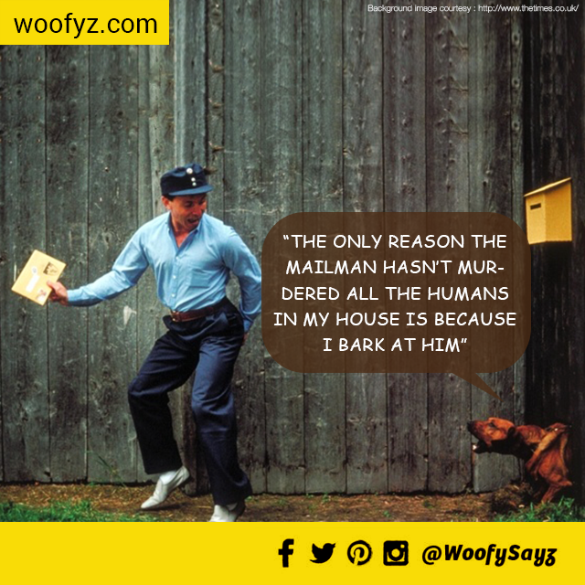 WoofySayz's tweet photo. #woofySayz Hey Mr. Postman, first me &amp; then the family!!
#dogsoftwitter #ilovepuppies http://t.co/KvqVGNHN2k