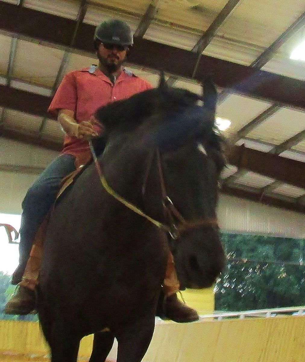 Hooves4Heroes's tweet photo. Riding tall in the saddle! @EQUEST_TX @USMC #HorsesHeal #17Hands http://t.co/6cpzlu9Esp