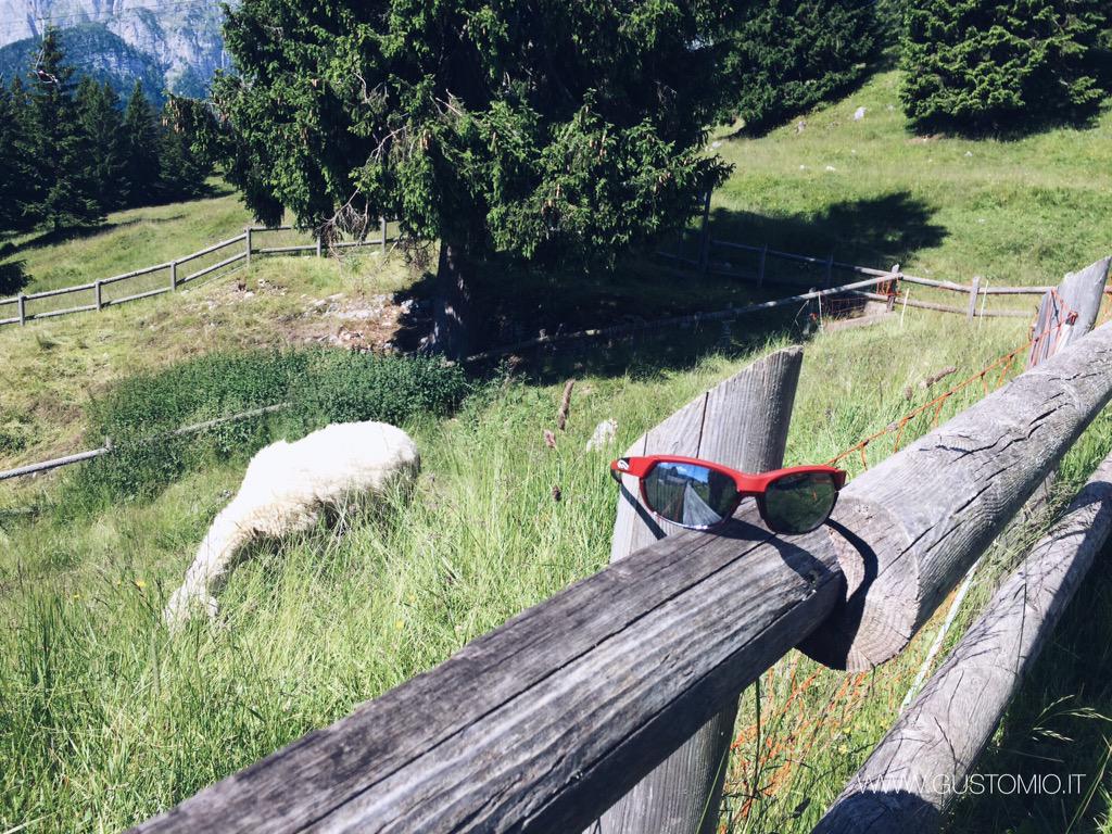 vuance's tweet photo. @smithoptics rocks! 😎 special thanks for @360MILANO 😘 #PivlockOverdrive #theexperienceiseverything #lifebeyondwalls http://t.co/HadaKdwocS